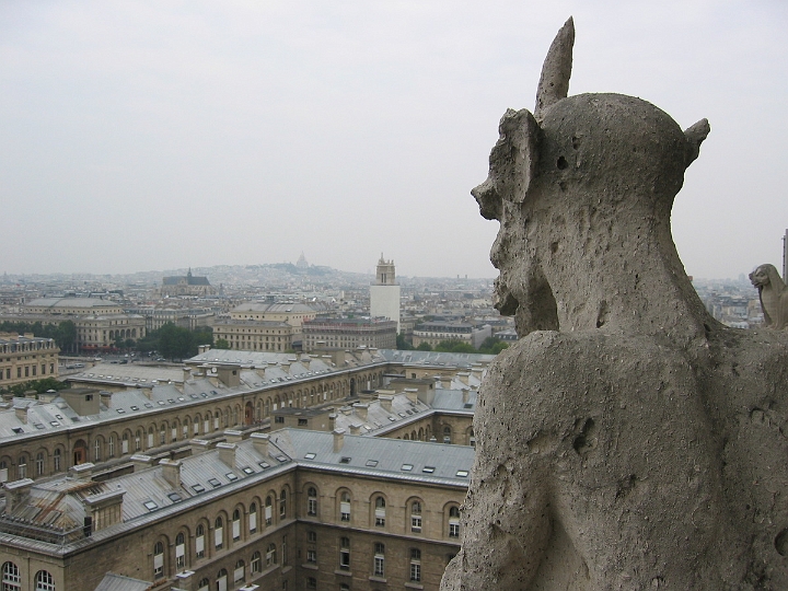 41 view of Paris from atop Notre Dame.jpg